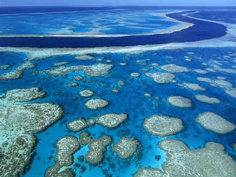 Great Barrier Reef Marine Park - Queensland - Australia Wallpaper ...