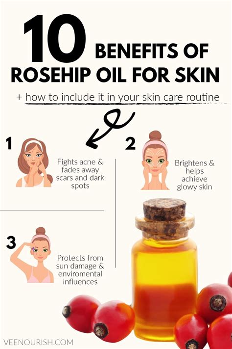 Rosehip Oil Benefits + How To Include It In Your Skin Care Routine ...