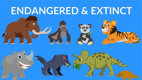 Endangered Animals 2020 Video - World Animal