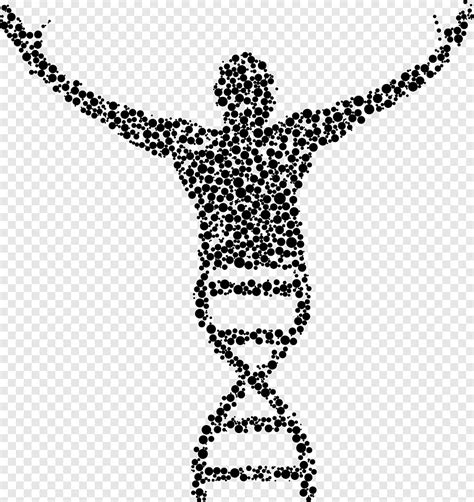 Molecular biology DNA, science, biology, monochrome png | PNGEgg