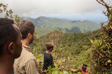 Conservation news on Solomon Islands