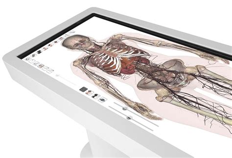 DPT Acquires Anatomage Table - College of Health Professions and Sciences