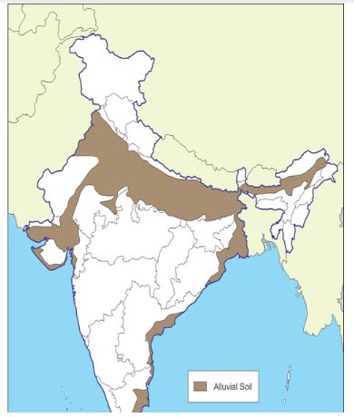 Mark the areas of alluvial soil on an outline map of India - Home Work ...