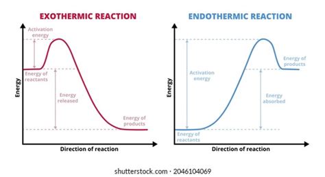 Potential Energy Diagram Exothermic Vs Endothermic