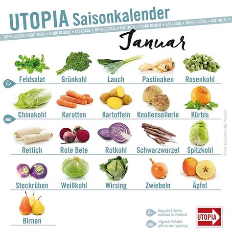 Saisonkalender: Das gibt's im Januar | Saisonkalender obst und gemüse ...