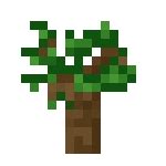 Dark Oak Sapling | Minecraft Bedrock Wiki | FANDOM powered by Wikia