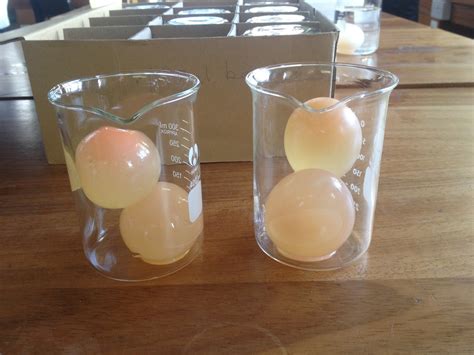 Egg osmosis experiment