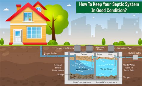 8 Septic Tank Maintenance Tasks to Do Regularly