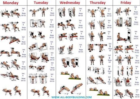 Precise Bodybuilder Workout Chart Bodybuilding Sched… | Planes de ...