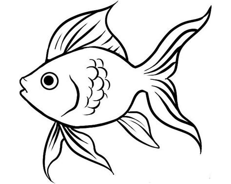 Outline Drawing Of Fish at GetDrawings | Free download