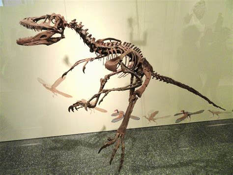 Prehistoric Beast of the Week: Deinonychus: Beast of the Week