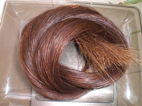 50 Grams Brown Color Horse Hair 32 Inches Real Horse Tail Hair Dyed ...