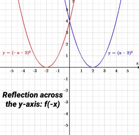 Reflection in the Y Axis - RubymcyShort