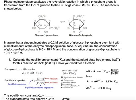 Solved Phosphoglucomutase catalyzes the reversible reaction | Chegg.com