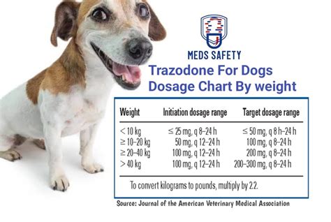 Trazodone For Dogs: Dosage Chart By Weight - Meds Safety