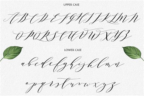 Font Fonts Chloe Download Digital Font Calligraphy Font | Etsy