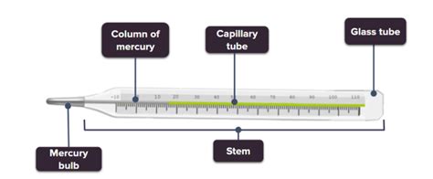 Labeled Diagram Of A Thermometer