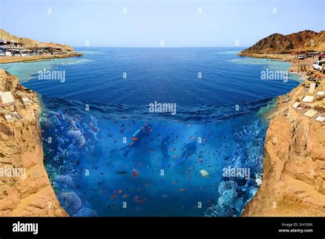 Famous diving site - Blue Hole in Egypt, where more than 100 divers ...