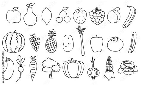 Set of simple drawing fruits and vegetable. Outline healthy food ...