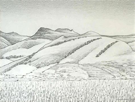 Artwork 'Port Hills Drawing' - The Diversion Gallery