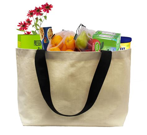 Earthwise EXTRA LARGE Grocery Bag Beach Shopping Tote HEAVY DUTY 12 oz ...