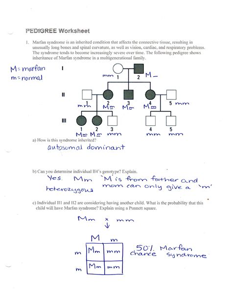 Genetics Practice Problems Simple Worksheet Human Pedigree Worksheet ...