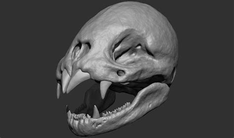 Vampire Bat Skull 3D model 3D printable | CGTrader