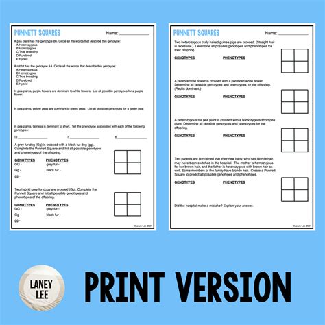 Punnett Square Practice Worksheet Answers - Zipworksheet.com