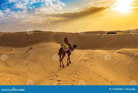 Tourist Enjoy Desert Safari Camel Ride at Thar Desert Jaisalmer ...