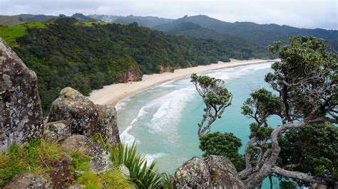 Exploring the Coromandel Peninsula - Beaches and Coves | Realistic ...