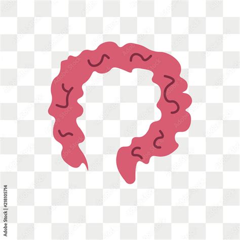 Colon vector icon isolated on transparent background, Colon logo design ...