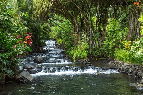 The Best Things to Do in La Fortuna, Costa Rica | Arenal costa rica ...