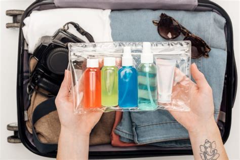 5 Best TSA Approved Quart Size Bags For Liquids – Lifestyle Traveler