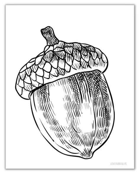 Acorn Templates Printables