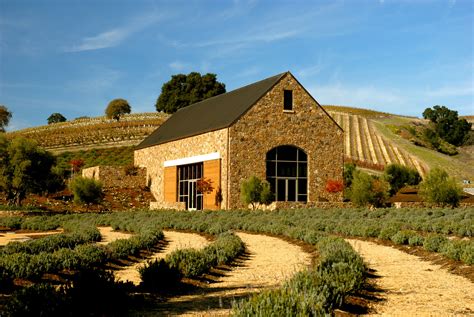 Niner Winery | Paso robles wineries, Wine vineyards, Winery