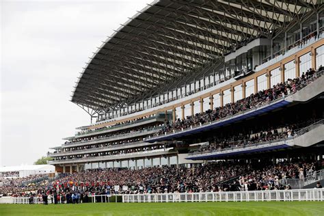 Horse Races & Events | Contact Us | Ascot Racecourse