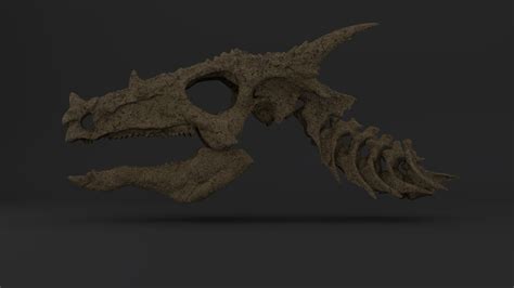 Dracorex skull - Nova Studios