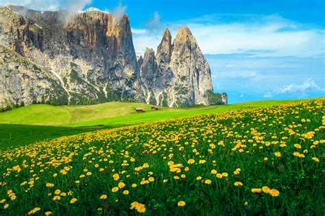 Alpe di Siusi resort in Italy | Nature Stock Photos ~ Creative Market