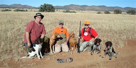 South Texas Quail Hunting - Texas Quail Hunting