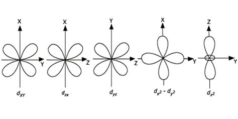 Brilliant Info About How To Draw D Orbitals - Sortcommitment