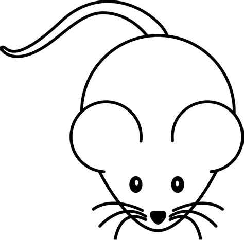 Coloriage Souris Verte - Lettre Examples