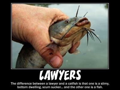 Laugh at 20 Best Lawyer Jokes