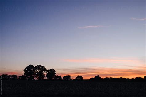 "Clear Sky And Trees On The Horizon At Sunset. Norfolk, UK." by Stocksy ...