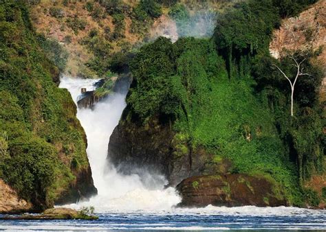 Uganda's 10 National Parks & 4 Wildlife Game Reserves [Travelers Guide ...