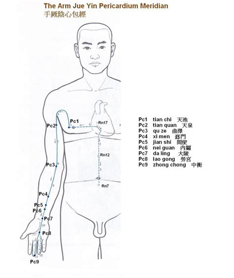 Arm Jue Yin Pericardium Meridian