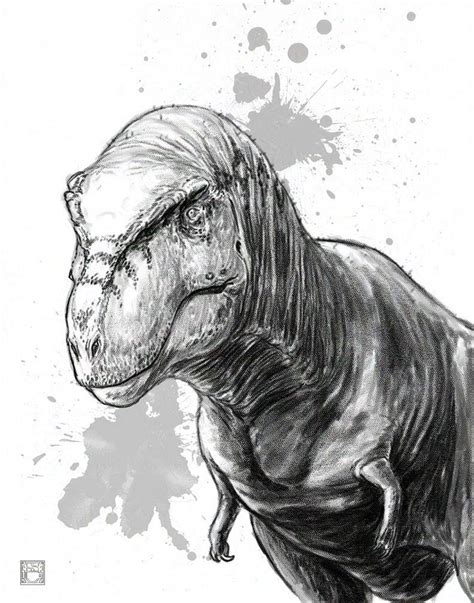 Tyrannosaurus mcraensis(OC) : r/DinosaurDrawings