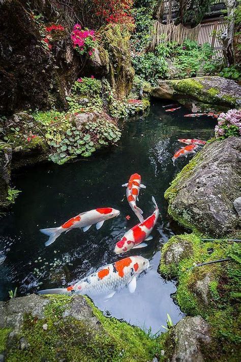 20+ Cool Fish Pond Garden Landscaping Ideas For Backyard Fish Pond ...