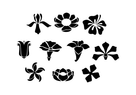 Flower Silhouette Vector Art, Icons, and Graphics for Free Download