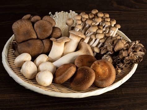 Varieties of Mushrooms in India: 8 types of Mushrooms found in India ...