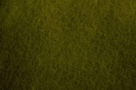 Olive Green Parchment Paper Texture Picture | Free Photograph | Photos ...